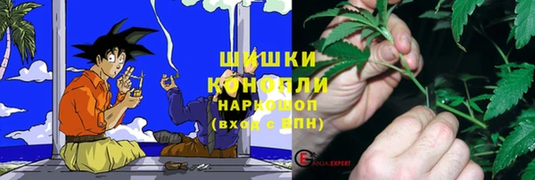 прущий лед Алзамай