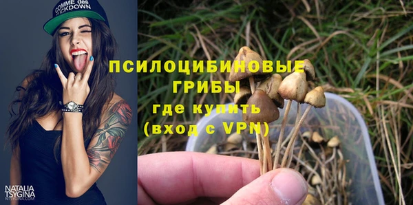 спиды Алексин