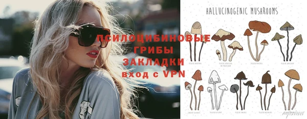 spice Абдулино