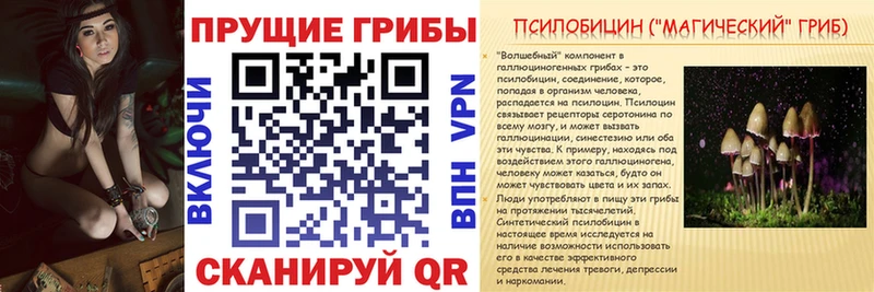 Псилоцибиновые грибы Psilocybine cubensis  Староминская 